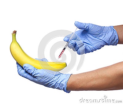 GMO food. Injection into banana isolated on white background. Genetically modified fruit and syringe in his hands with blue gloves Stock Photo