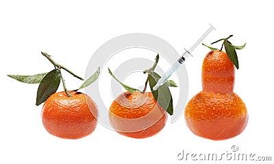 GMO fruit - Genetic modification Stock Photo