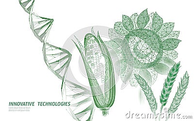GMO wheat gene modified plant. Corn sunflower biology genetics engineering innovation organic eco food technology 3D Vector Illustration