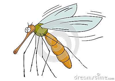 Gnat Vector Illustration