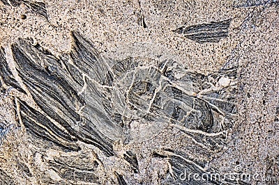 Gneiss Rock Background Texture Stock Photo