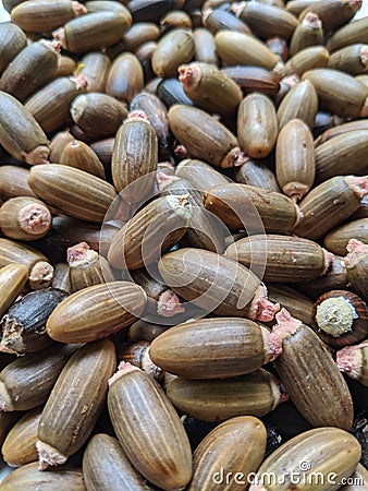 Gnetum gnemon or melinjo seeds, vegetable seed texture Stock Photo