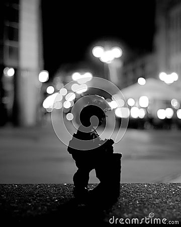 Gnom statue at night in wroclaw poland Editorial Stock Photo