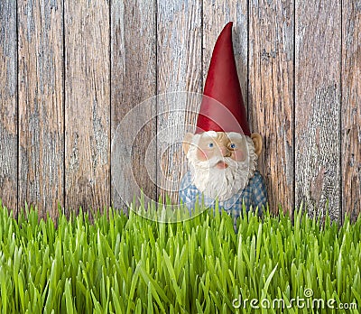 Gnome Gnomes Grass Backyard Summer Background Stock Photo