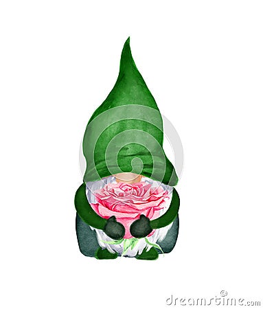 Gnome with rose flower. Watercolor for birthday, anniversary card Stock Photo