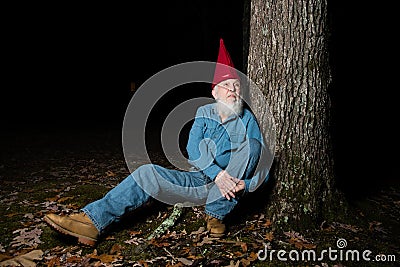 Gnome under tree 2 Stock Photo