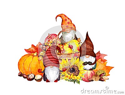 Gnomes family autumn harvest basket. Thankgiving iilustration with sunflower, pumpkin, maple leaves, fruits, vegetables Stock Photo