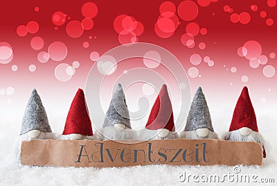 Gnomes, Red Background, Bokeh, Adventszeit Means Advent Season Stock Photo