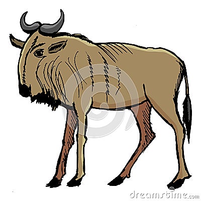 Gnu, african animal Cartoon Illustration