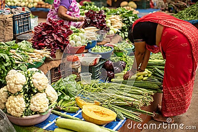 Goa, India, February 2023. Side view of barefoot Indian woman in red sari bending over stall, placing squashes zucchini. Editorial Stock Photo