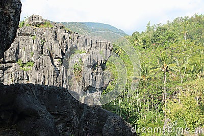 Goa Ngerit, Trenggalek East Java, Indonesia Stock Photo