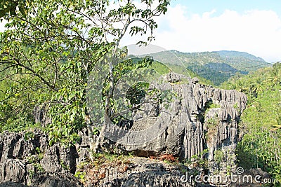 Goa Ngerit, Trenggalek East Java, Indonesia Stock Photo