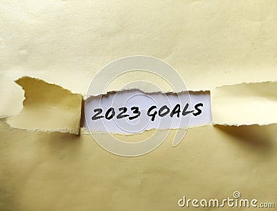 2023 GOALS message written under torn brown paper Stock Photo