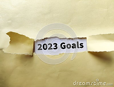 2023 GOALS message written under torn brown paper Stock Photo