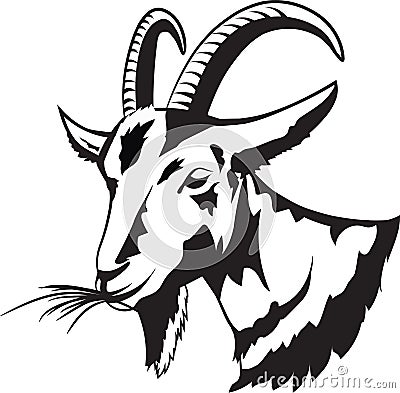 The vector image of a goat isolated on the white background. Stock Photo