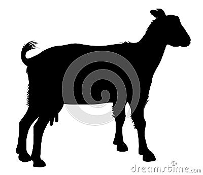 Goat Vector Illustration