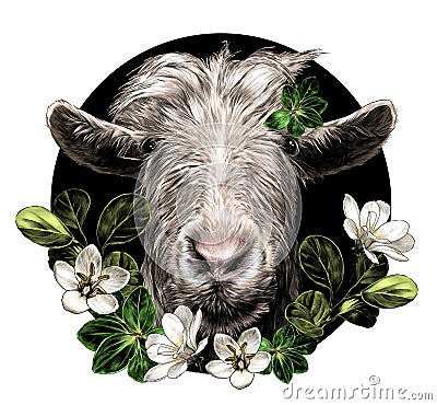 Goat head full face on circle background and composition decorated with grass and flowers Vector Illustration