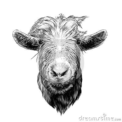 Goat head full face Vector Illustration