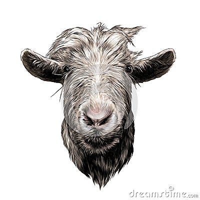 goat head full face Vector Illustration