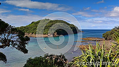 Goat Island Marine Reserve, popular for snorkeling in New Zealand Stock Photo
