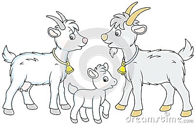 Goat, kid and he-goat Vector Illustration