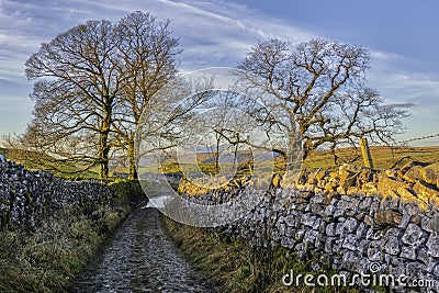 Goat Scar Lane, Stainforth, Ribblesdale, North Yorkshire Stock Photo