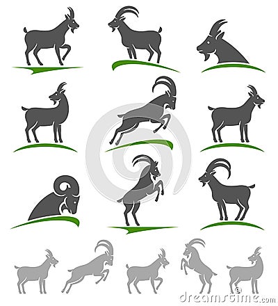 Goat set. Vector Vector Illustration