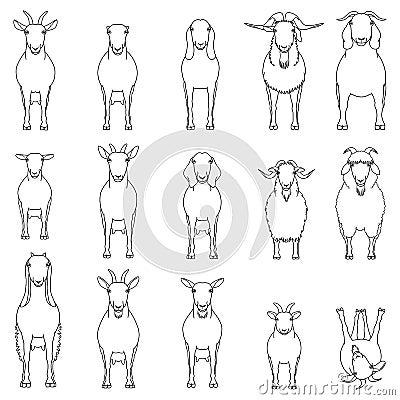 Goats breeds line art set Vector Illustration