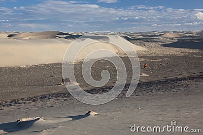 Gobi Desert Singing Sand Dunes Stock Photo