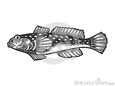 Goby fish sketch vector illustration Vector Illustration