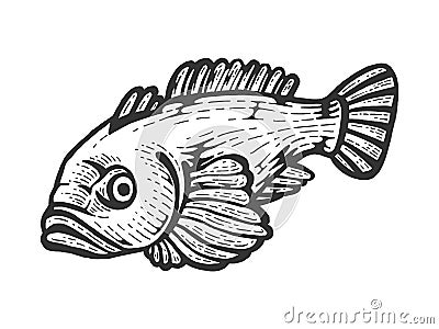 Goby fish sketch vector illustration Vector Illustration