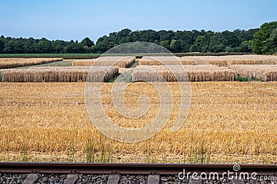 Goch, North Rhine-Westphalia - Golden wheat fields and railway track at the German countryside Editorial Stock Photo