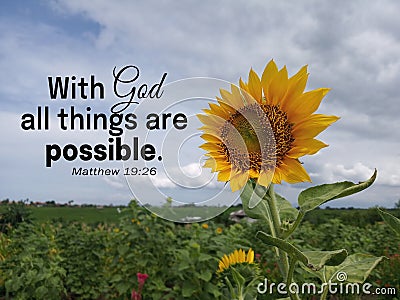 `With God all things are possible.` Matthew 19:26 A Christian bible verse inspirational quote with sunflower in field outdoor. Stock Photo