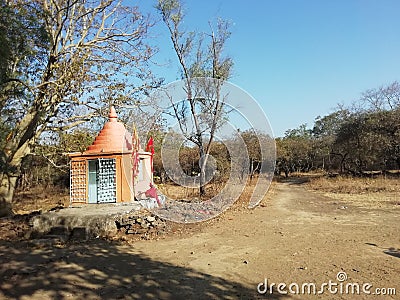 God for hanuman tempal in sasan gir forest insait Stock Photo