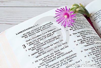 God's steadfast love endures forever verses in open holy bible book of Lamentation with flower on wooden table Stock Photo