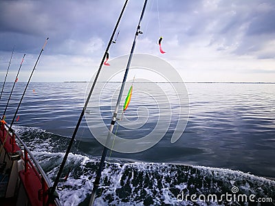 Going to catch the big fish! Stock Photo