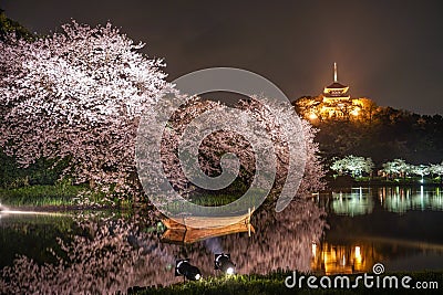 Of going to see cherry blossoms at night Sankei Garden Stock Photo