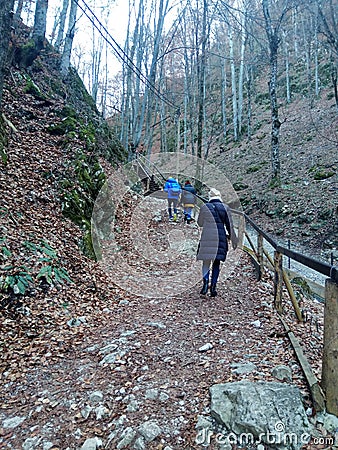 Going to the Ursu Cave Rasnov Brasov Transylvania Romania Editorial Stock Photo