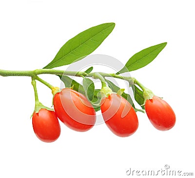 Goji berry isolated Stock Photo