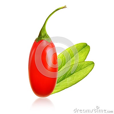 Goji berry isolated Stock Photo