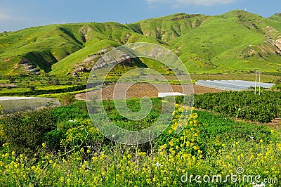 Golan Heights. Stock Photo