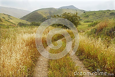 Golan heights Stock Photo