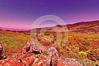 Golan Heights Stock Photo