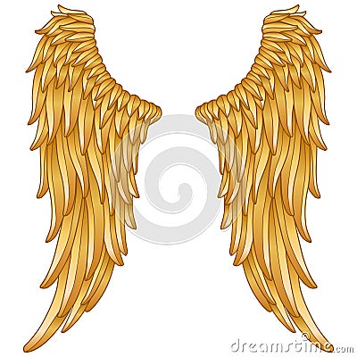 Gold angel wings Vector Illustration