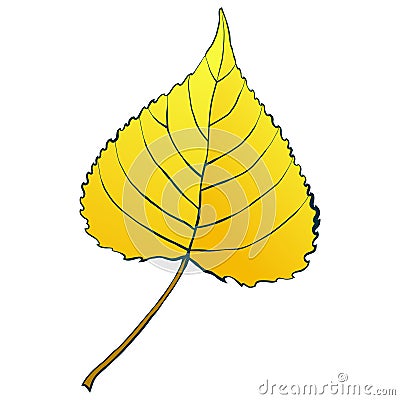 Gold autumn aspen leaf isolated on white background Vector Illustration