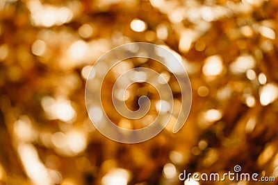 Gold background out of focus. Stock Photo