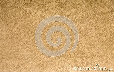 Gold-beige leather texture Stock Photo