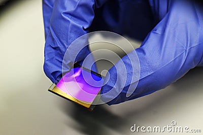 Gold biochip for biomedical and technological applications Stock Photo