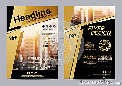 Gold Brochure Layout design template. Annual Report Flyer Leaflet cover Presentation Modern background. illustration vector in A4 Vector Illustration