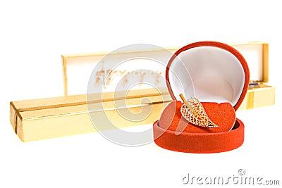 Gold brooch Stock Photo